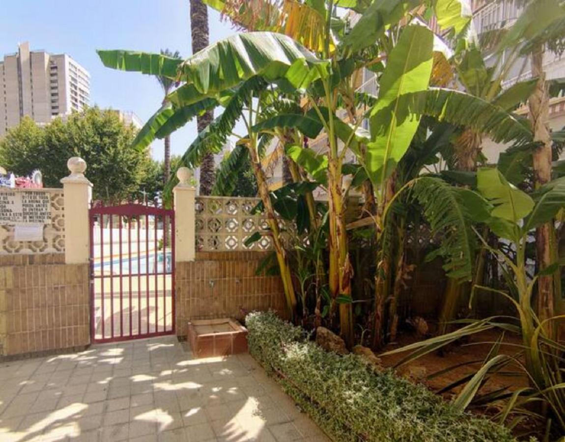 Benidorm Rocas One, Un Oasis A 100 Metros Del Mar Apartment Bagian luar foto